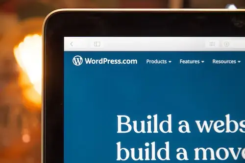 WordPress Optimisation
